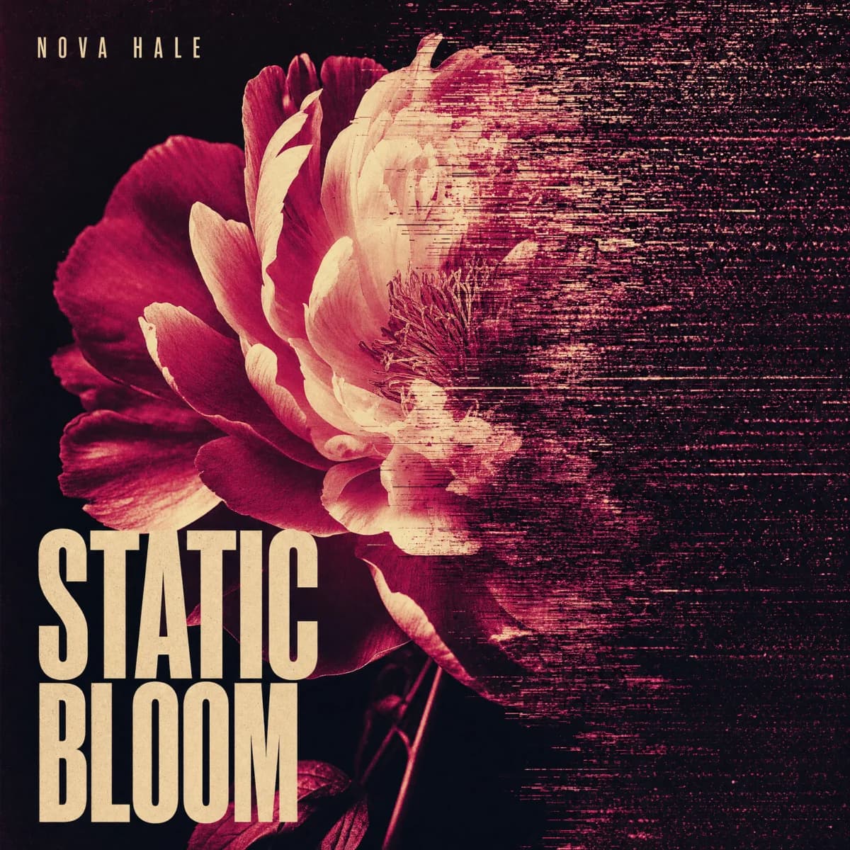 Square Static Bloom release cover by Nova Hale
